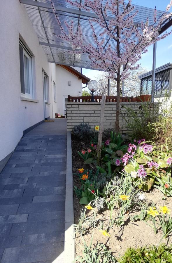 Ferienhaus Rauwolf Mit 2 Ferienwohnungen Roschbach Ngoại thất bức ảnh