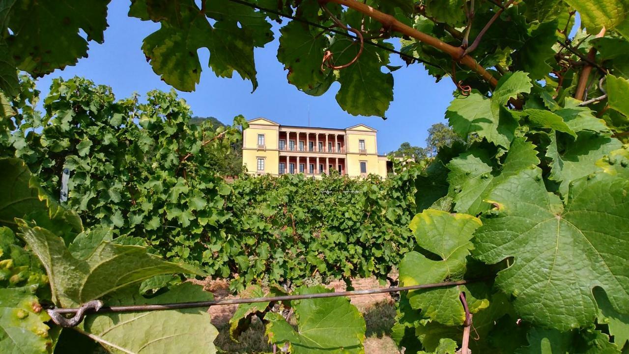 Ferienhaus Rauwolf Mit 2 Ferienwohnungen Roschbach Ngoại thất bức ảnh